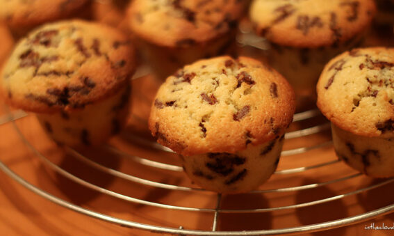 Mini quatre quarts aux crottes de chocolats