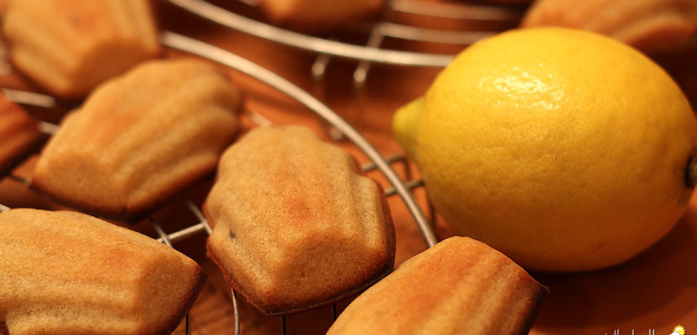 Les madeleines au citron de Valériane (La Meilleure Pâtissière Belge 2018)