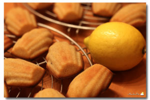 Les madeleines au citron de Valériane (La Meilleure Pâtissière Belge 2018)
