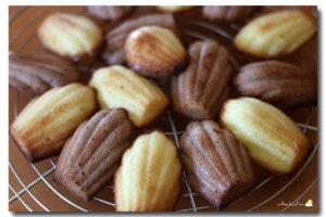 Madeleines vanille chocolat