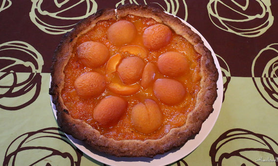 Tarte sablée noisette, compotée d'abricots et abricots