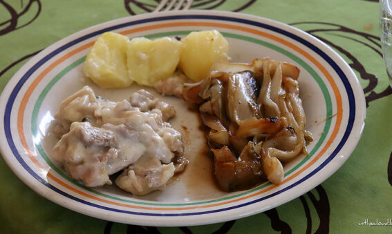 Poulet sauce au poivre, chicons braisés